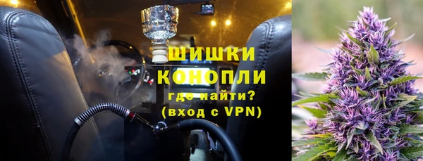дмт Пестово